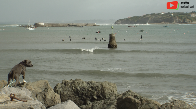 Socoa | Surfing en Longboard dans la Baie - Euskadi Surf TV